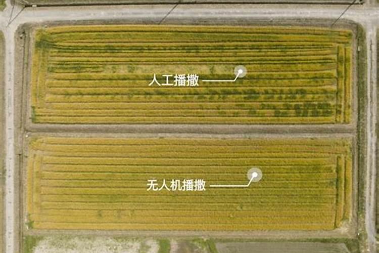 大疆T30植保无人机的性能怎么样？
