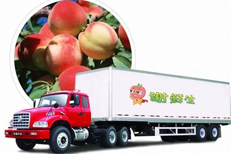 尿怎样做肥料尿液做肥料多久浇一次
