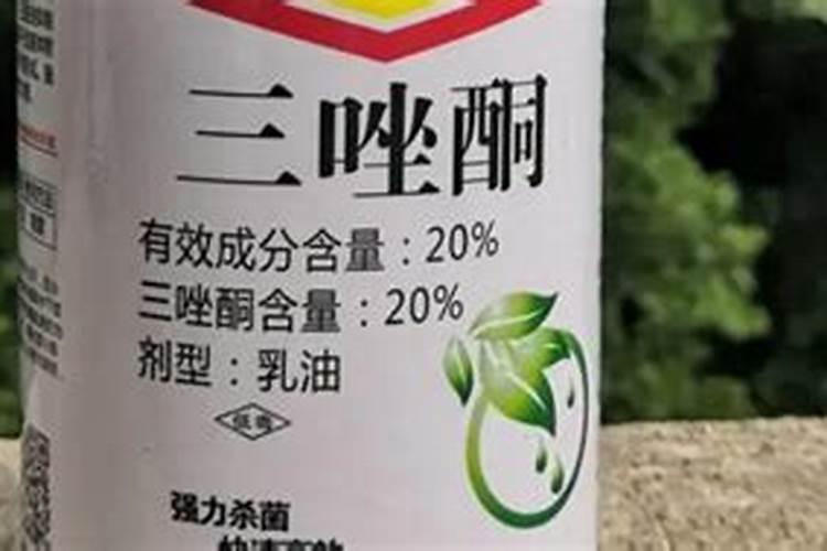 稻苗打完预防要以后有几个床尖发黄干枯有两天了应该怎么治疗