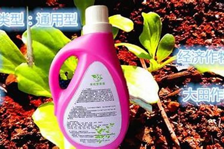 枯饼水肥发酵流程