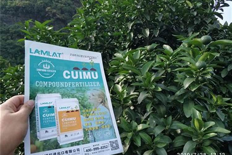 进口的水溶肥和国产的有啥区别？