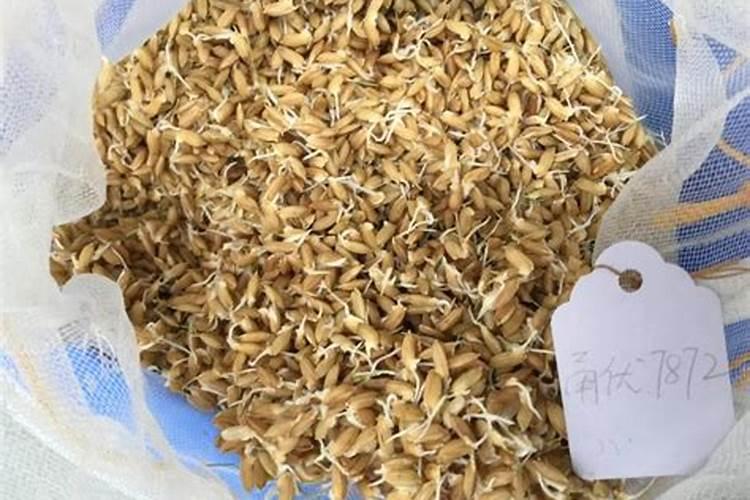 黄腐酸钾的使用方法