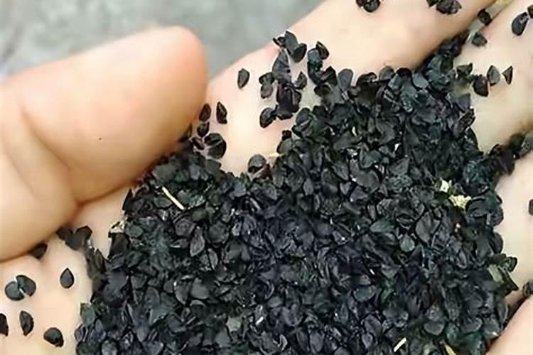 核桃皮可以做花的肥料吗