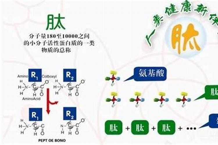 什么是氨基酸水溶肥？氨基酸水溶肥的功能作用有哪些
