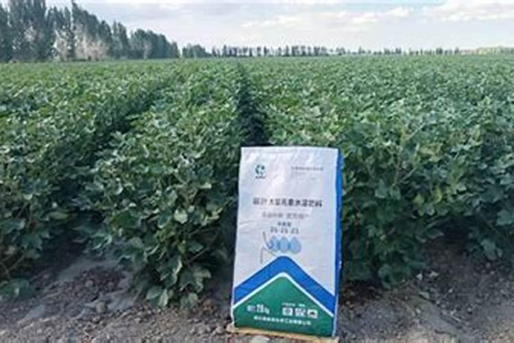 水溶肥知名品牌有哪些？