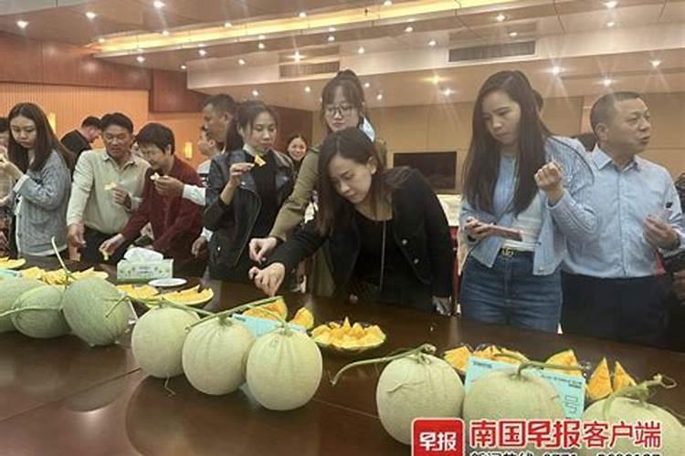 甜瓜膨果增甜用什么药？甜瓜坐果增甜期施肥管理如何做