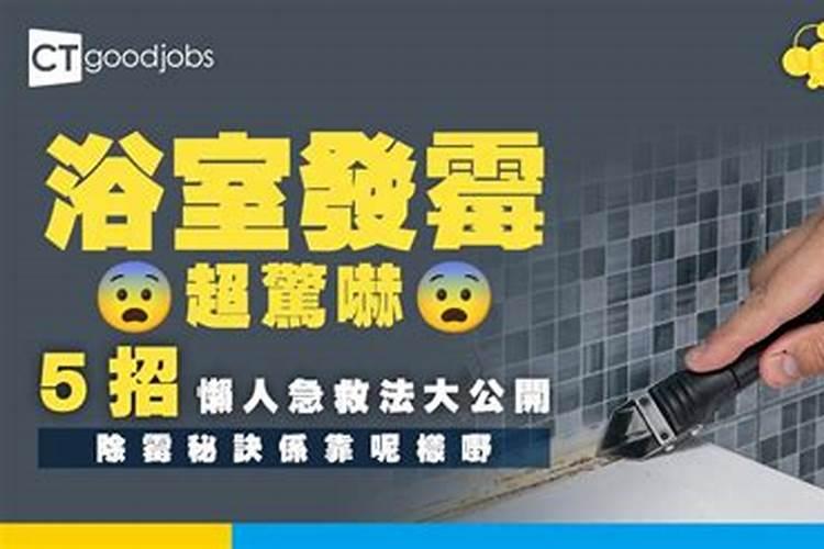 草莓各个时期的施肥方案 什么时候冲高磷肥