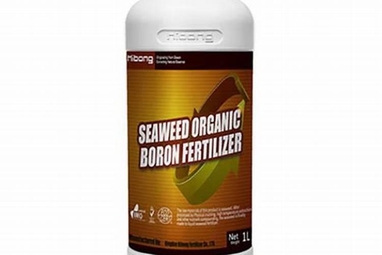 种植油菜为什么要施硼肥油菜啥时候施硼肥好