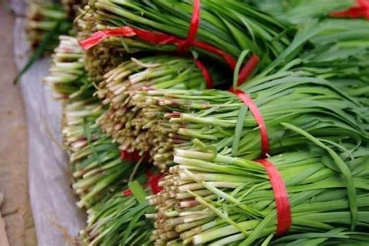花红树叶子泡出来的茶味道怎么样呢？