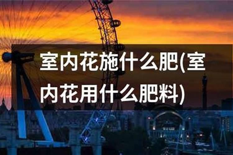 室内养花施什么肥好？