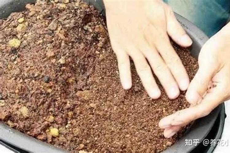 磷酸二氢钾怎样在盆栽花卉中施用