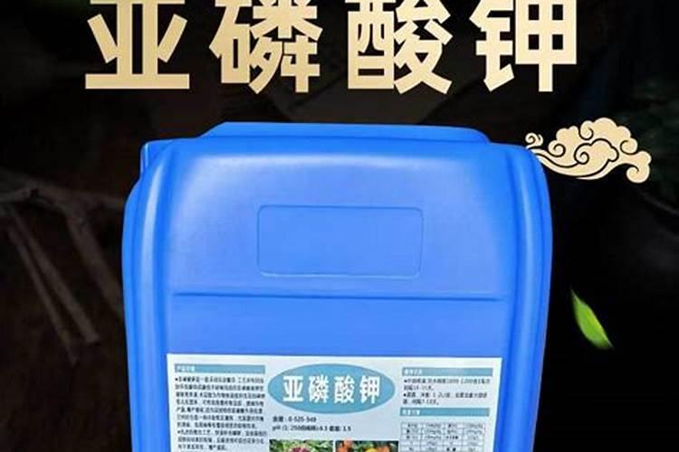 柑橘树施什么复合肥好呢？一年要施多少次？(大树)