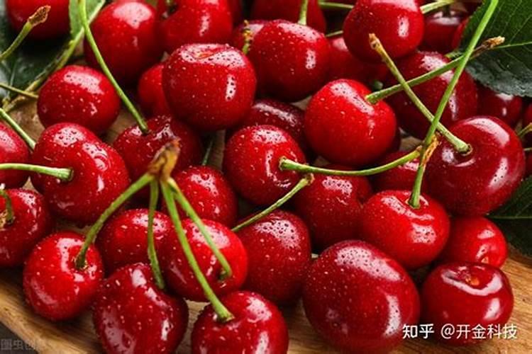 樱桃施什么肥最好