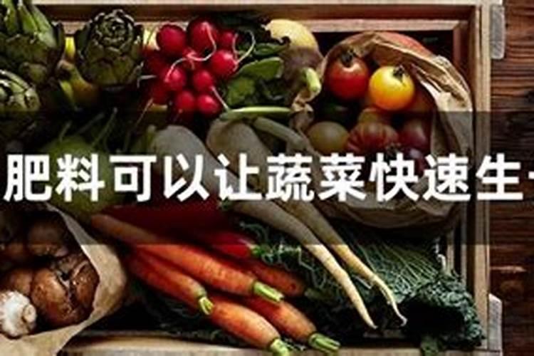 一般的蔬菜瓜果要用到什么肥料