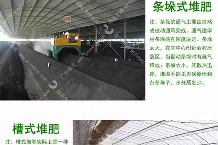 发酵有机肥用什么菌