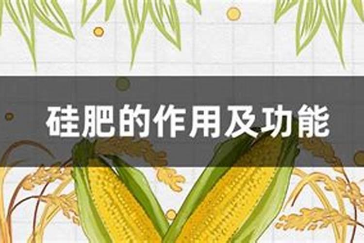 欢能肥厂家是正规厂吗