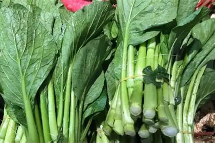 南通通州正大农药厂现状