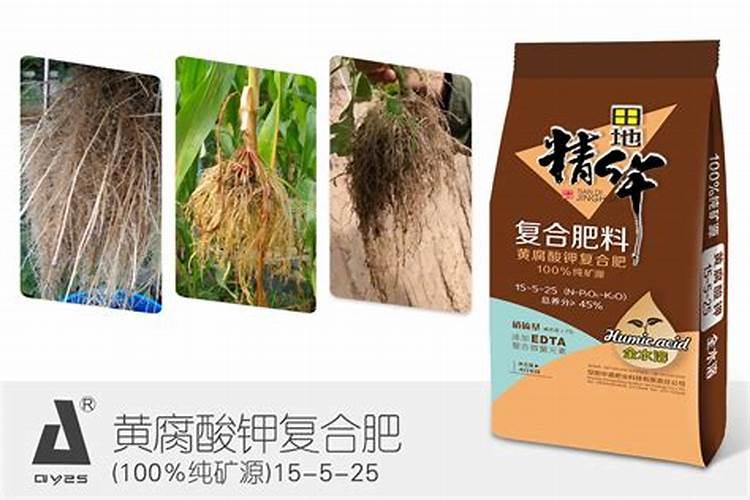 如何给花生追施钙肥？