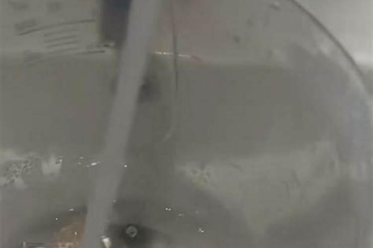 懒人秋天最不适合养这8种花,没几天头就掉了!