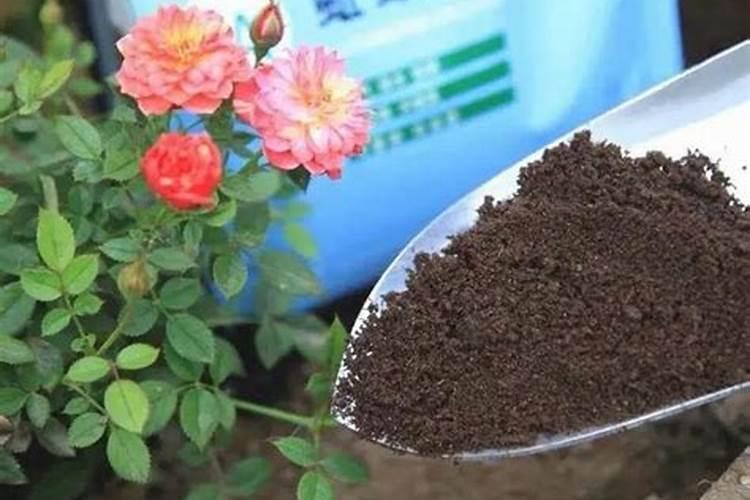 美国世多乐哈维果水溶肥4千克一袋的多少钱？