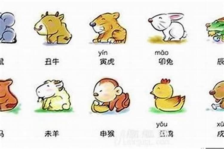 减肥吃什么