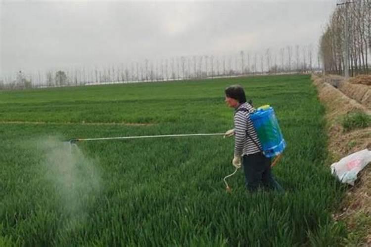 38度的高温天气下,能不能给花生打药？
