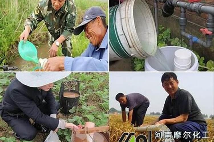 斤水溶肥兑多少水