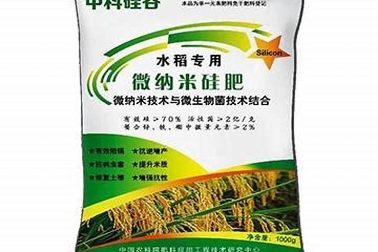 水稻硅肥正确使用方法 什么时候使用效果好