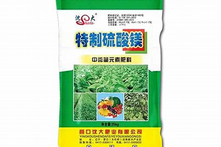 黄瓜叶子黄是怎么回事,应该怎么办