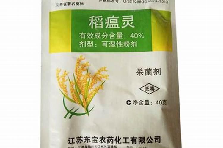 野生水芹菜能不能吃