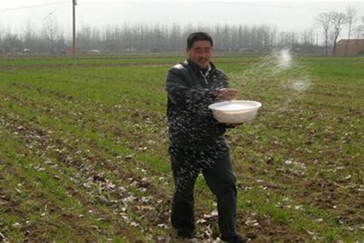碳酸氢铵使用时应该注意什么