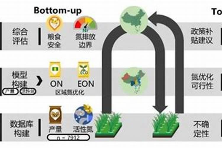 氮肥属于哪种肥料？