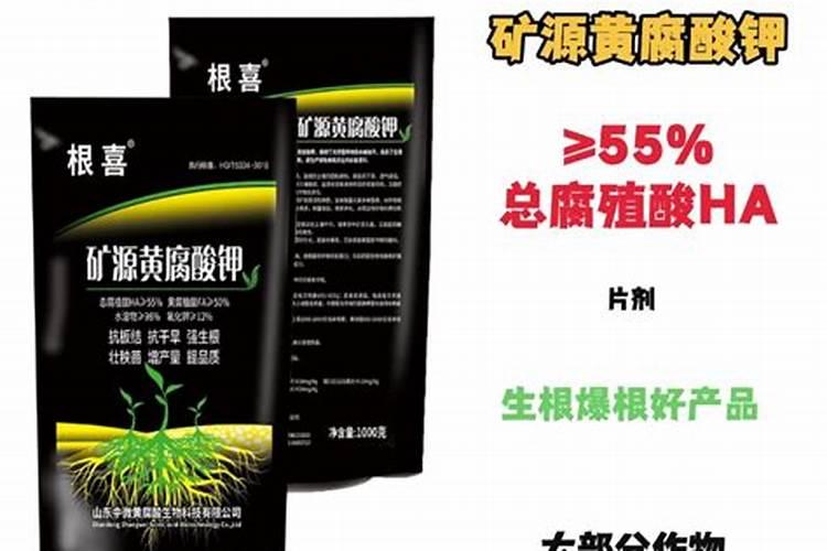 甘蔗用什么肥料好