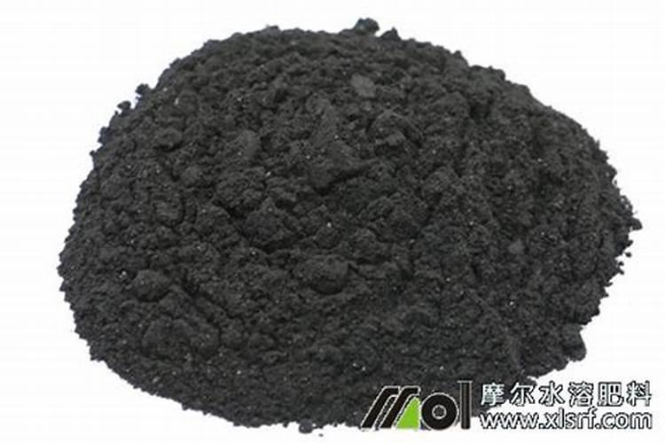 桔子树用什么肥料最好 怎么施肥效果好