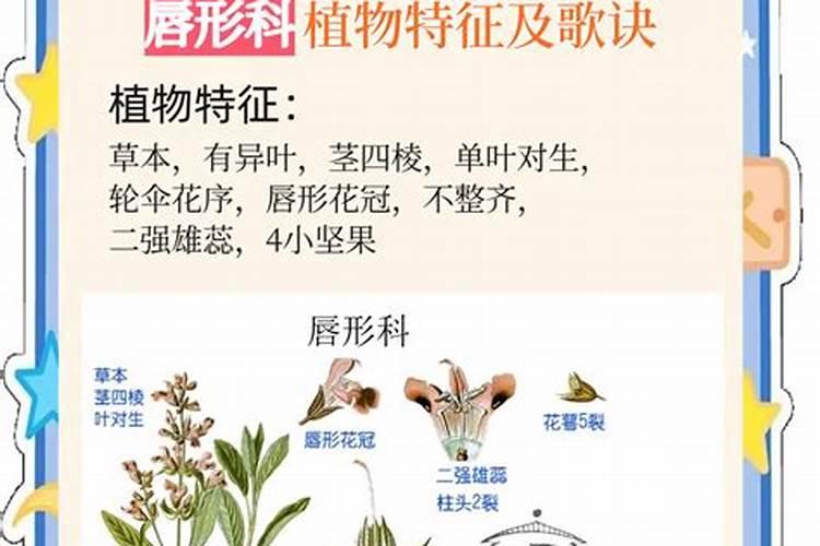 硫酸亚铁可以浇什么植物？
