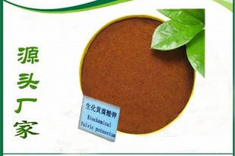 沙棘果的栽培方法