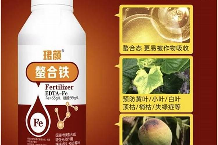 葡萄叶子黄化病上什么肥料好？