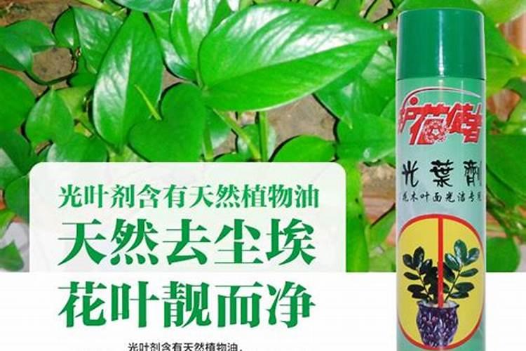 买的盆栽鲜花需要浇灌什么营养液吗？