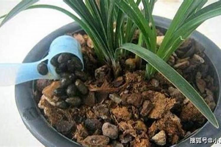氮肥可以兑水浇花吗