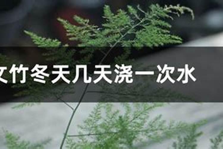 文竹施什么肥最好