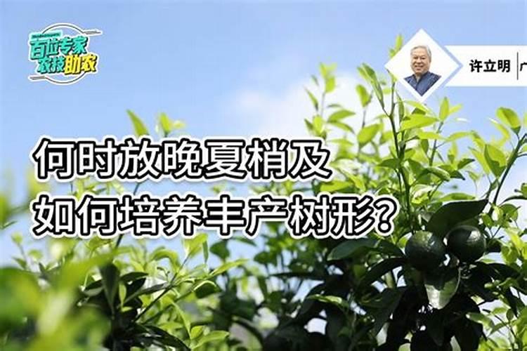 草莓开花前期用什么肥