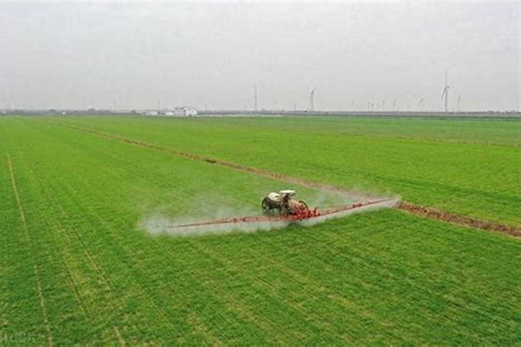 硝酸钠是什么意思