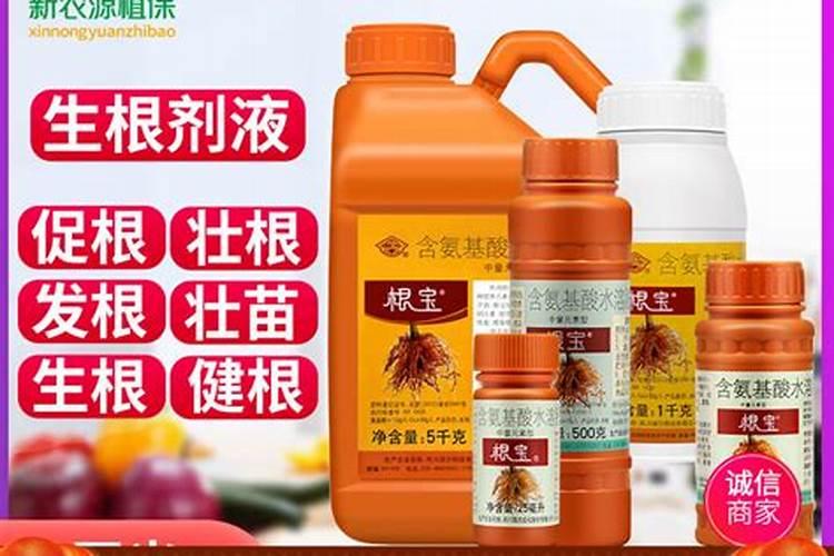 生根剂水溶肥叶面喷施效果会好吗