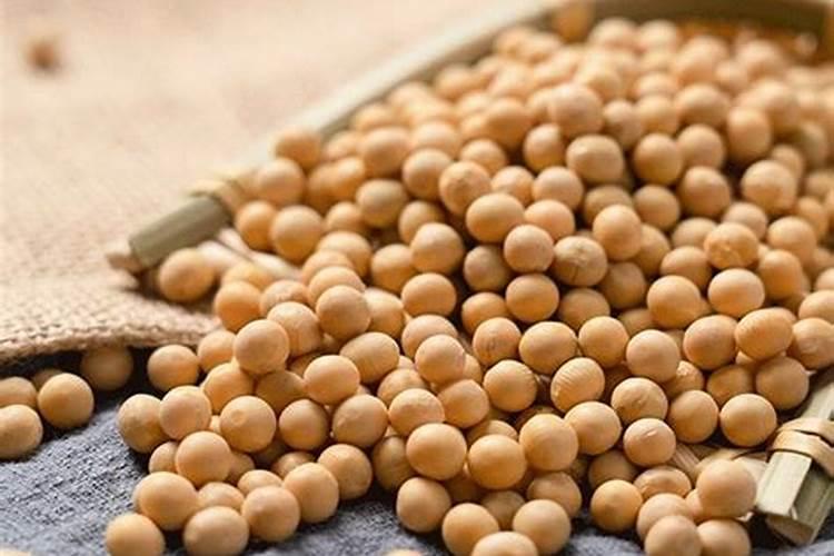 可以补钾的食物,大家知道有什么吗？