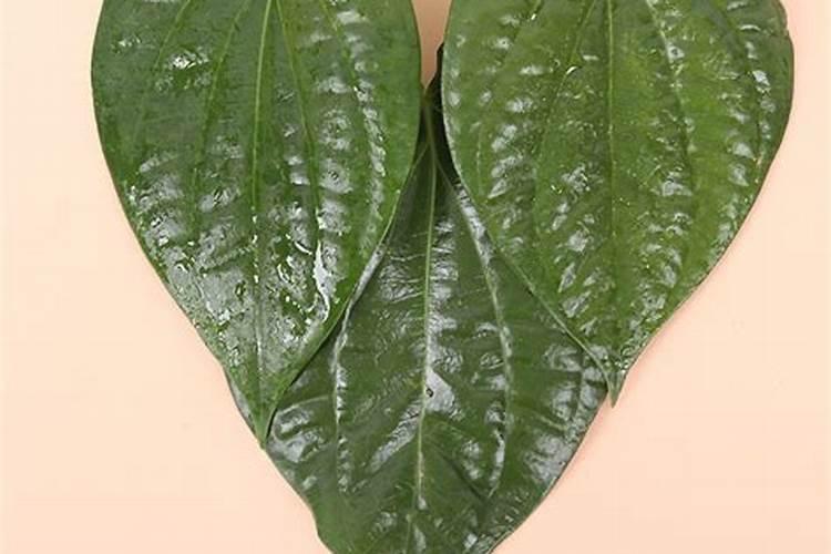 槟榔树能使用叶面肥吗？