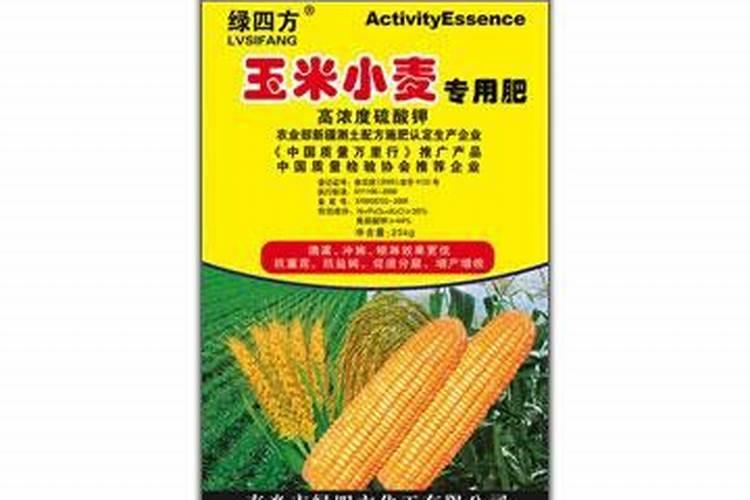 绿四方生产的菌朵好不好