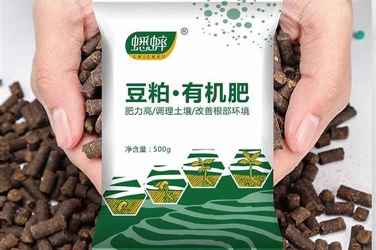 盆栽放底肥的正确方法(盆栽底肥用什么肥料好)