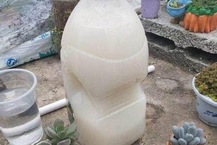 树苗用什么肥料长的粗长的快？