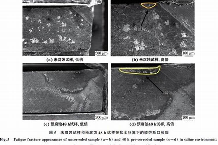火山泥全身美白有害吗
