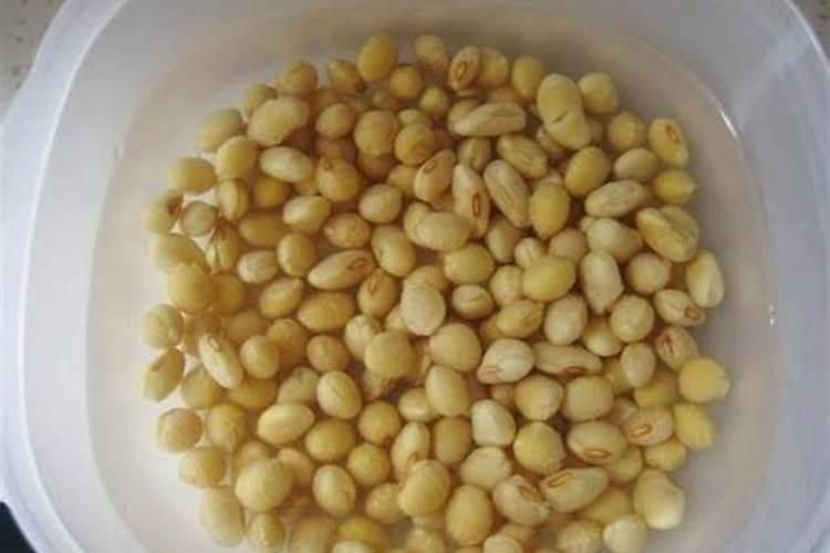 黄豆叶面肥什么时打合适
